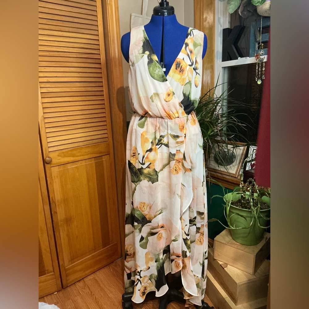 Signature by Sangria Floral Maxi Dress - Cream and Green